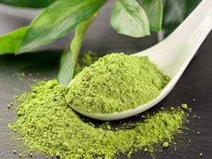 Green tea extract