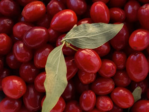 Cranberries