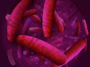 Lactobacillus rhamnosus LRa05